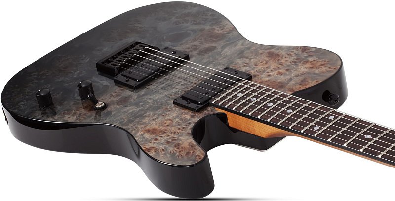 Фото Электрогитара Schecter PT STANDARD BFBB