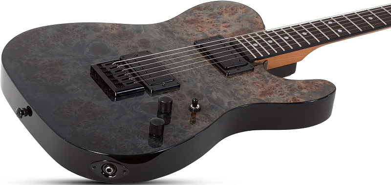 Фото Электрогитара Schecter PT STANDARD BFBB