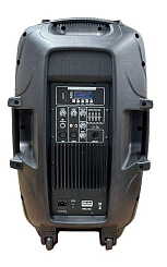 Активная акустическая система XLINE PRA-15A