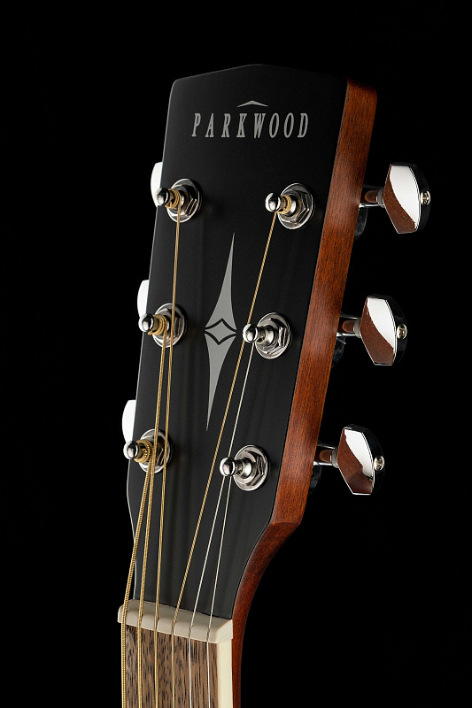 Фото Акустическая гитара Parkwood PF51M-WBAG-OP
