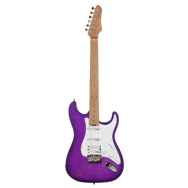 Фото Электрогитара Aion H-10 purple