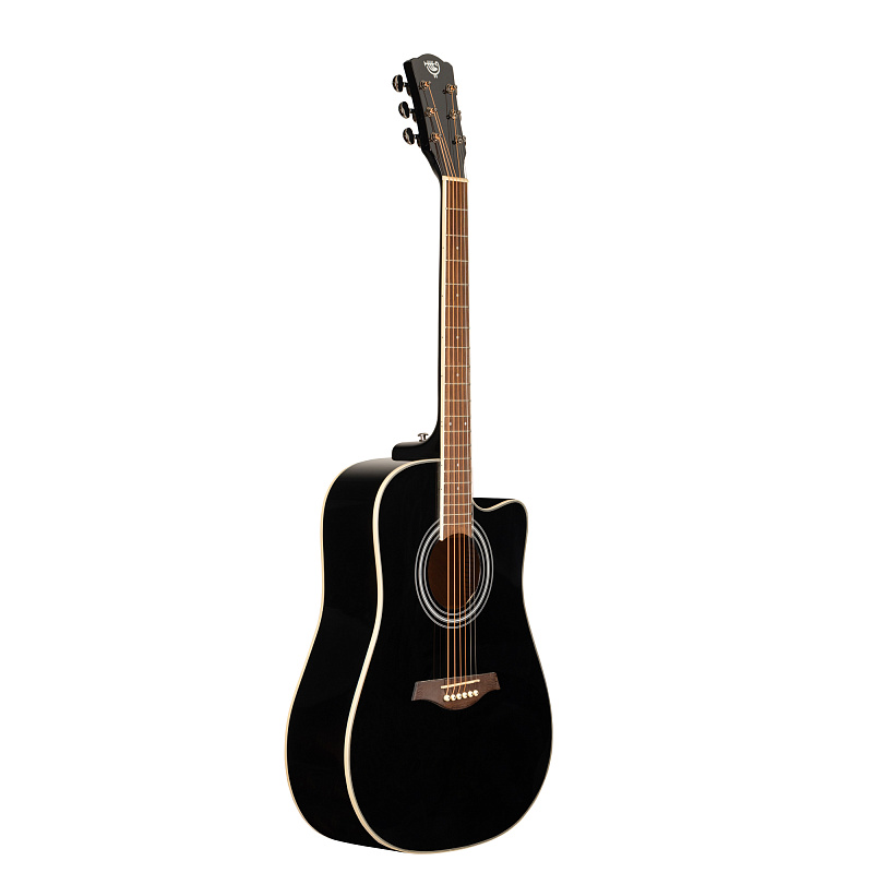 Фото Акустическая гитара ROCKDALE Aurora D6 Gloss C BK