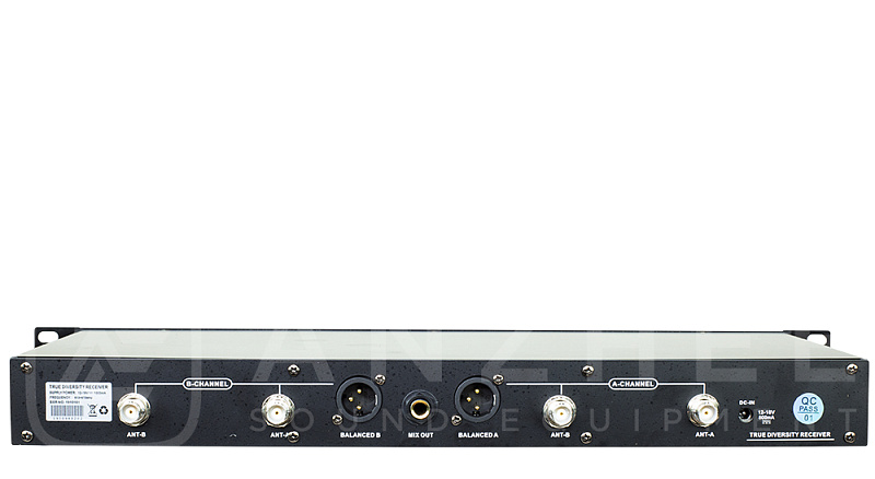 Фото Радиосистема Anzhee RS500 dual HH