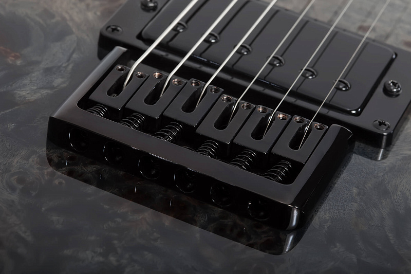Фото Электрогитара Schecter PT STANDARD BFBB