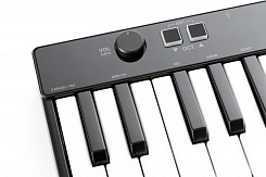 MIDI-клавиатура IK Multimedia iRig Keys 25